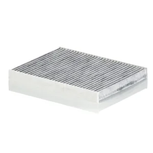 Cabin Filter   10770284  