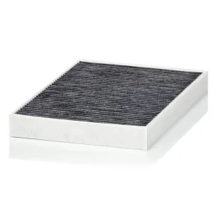 Cabin Filter   10770362  