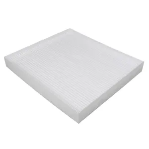 Cabin Filter   10770101  