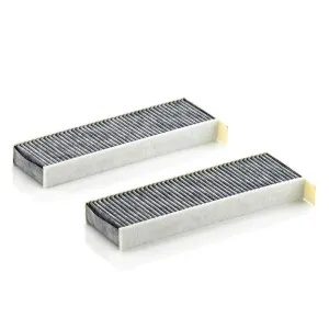 Cabin Filter   10770143  
