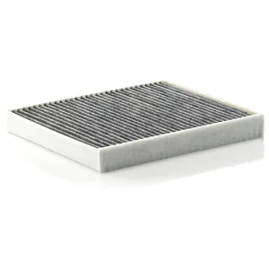 Cabin Filter   10770393  