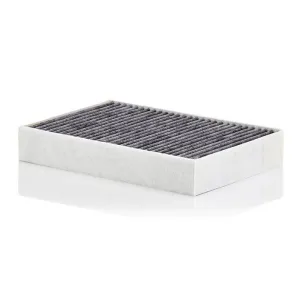 Cabin Filter   10770335 