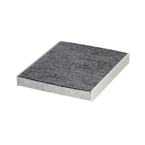 Cabin Filter   10770193