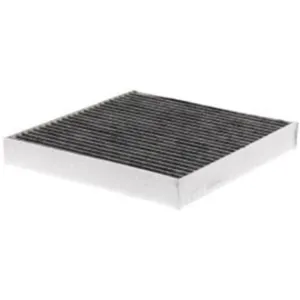 Cabin Filter 10770133 