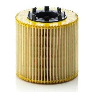 Oil Filter 10130425  
