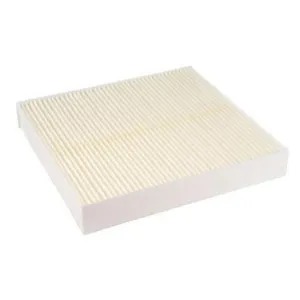 Cabin Filter 10770066  