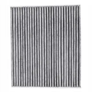 Cabin Filter   10770255