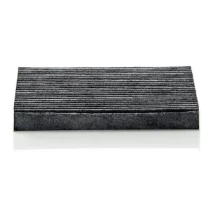 Cabin Filter 10770185  