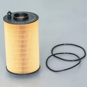Oil Filter 10130009  
