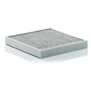 Cabin Filter   10770043 