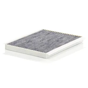 Cabin Filter   10770342 