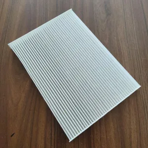 Cabin Filter   10770021  