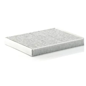 Cabin Filter   10770211  