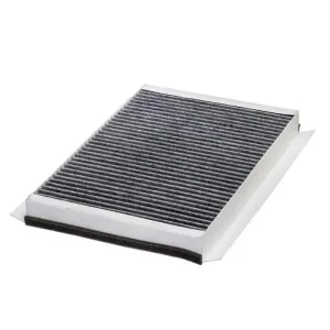 Cabin Filter 10770272  