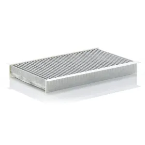 Cabin Filter 10770069  