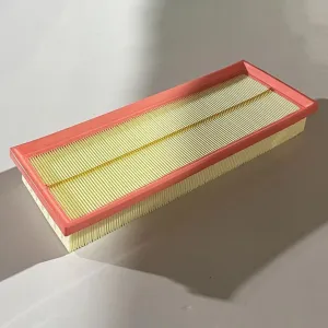 Air Filter   10740079