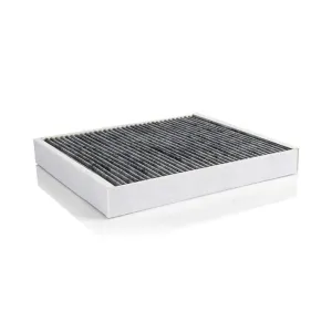 Cabin Filter   10770165  