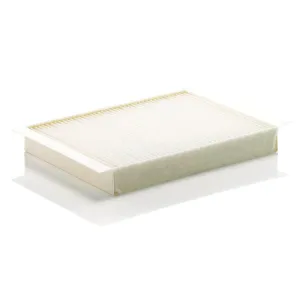 Cabin Filter 10770035