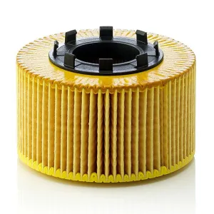 Oil Filter 10130173