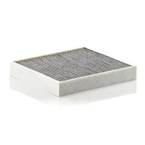 Cabin Filter 10770089  