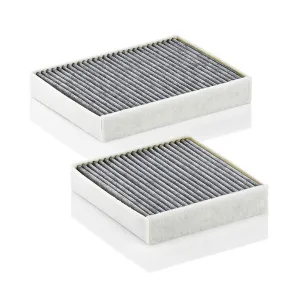 Cabin Filter 10770140  