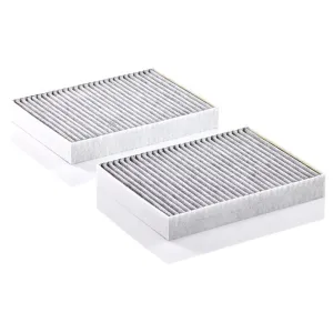 Cabin Filter 10770427  