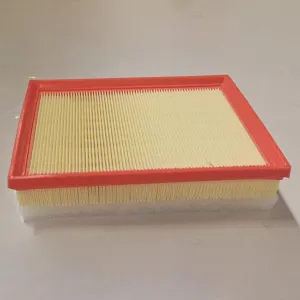 Air Filter   10740529