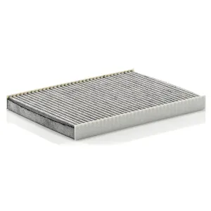 Cabin Filter   10770418  