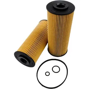 Oil Filter 10130083