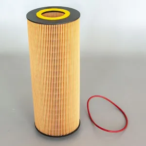 Oil Filter 10130005 
