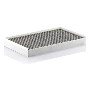 Cabin Filter   10770196  