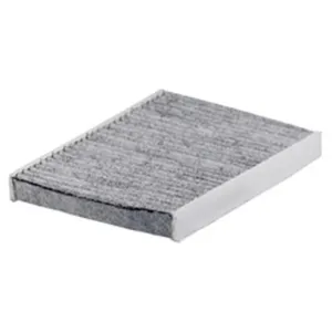 Cabin Filter   10770087  