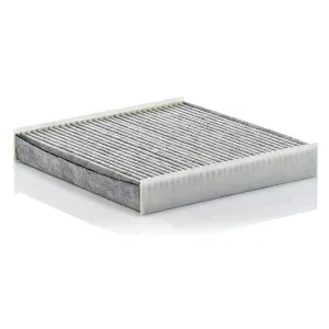 Cabin Filter 10770241 