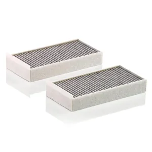 Cabin Filter   10770161  