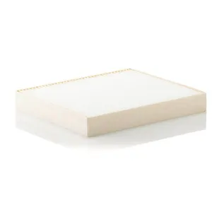 Cabin Filter   10770081  