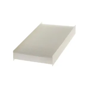 Cabin Filter 10770268 
