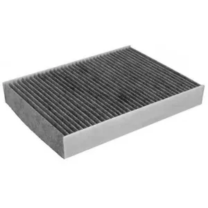 Cabin Filter   10770197  