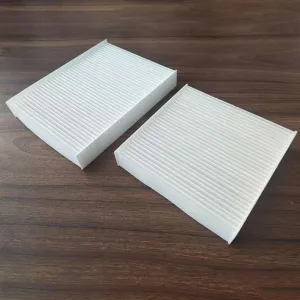 Cabin Filter 10770011  