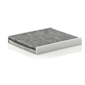 Cabin Filter   10770292 