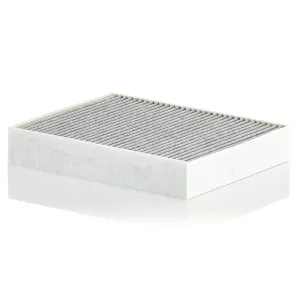 Cabin Filter   10770402  
