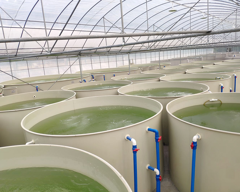 Aquaculture industry