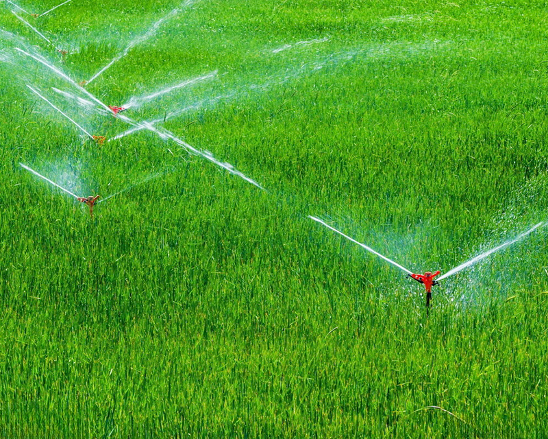 Agricultural irrigation