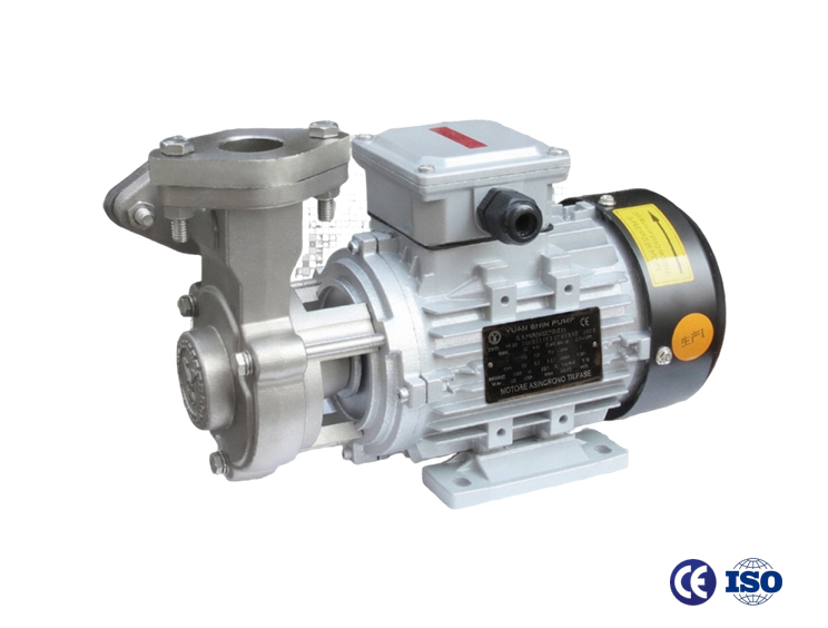 YS-13 Series Pump