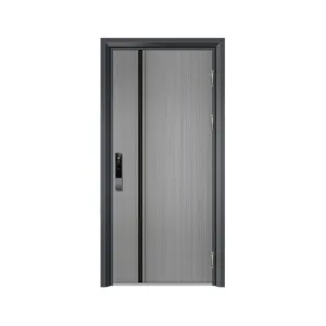 Entrance Door 5