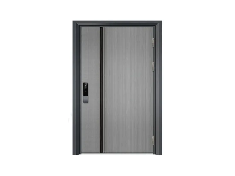 Entrance Door 5