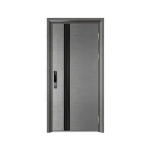 Entrance Door 2