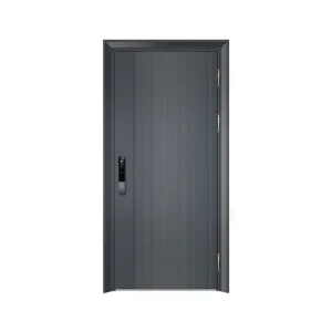 Entrance Door 3