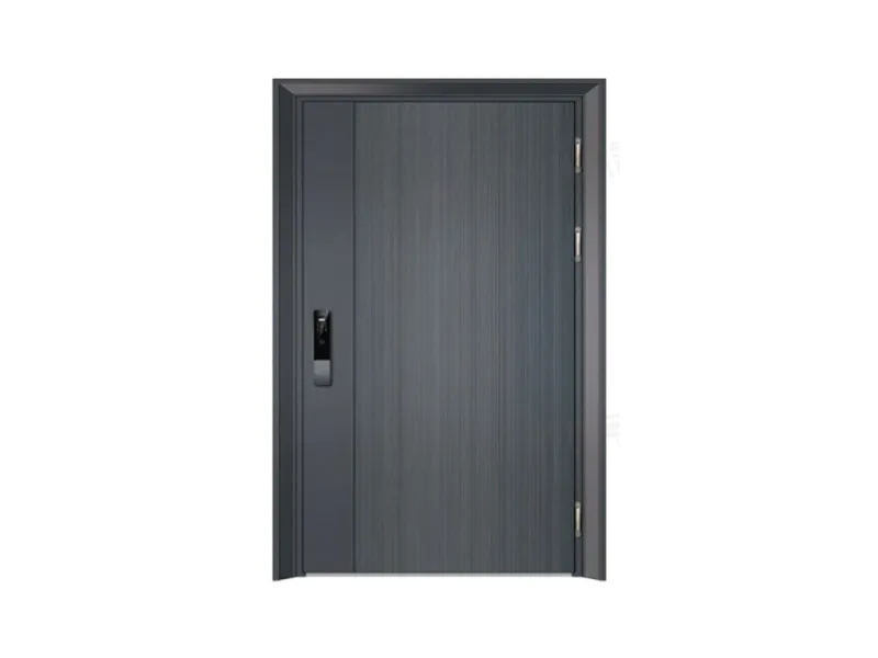 Entrance Door 3