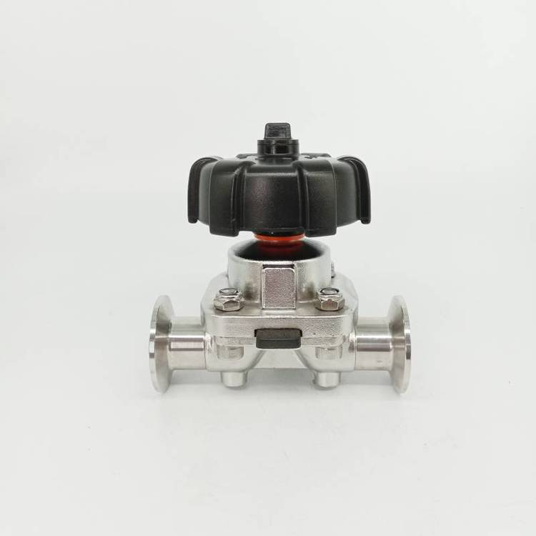What is a Sanitary Diaphragm Valve and How Does It Work?