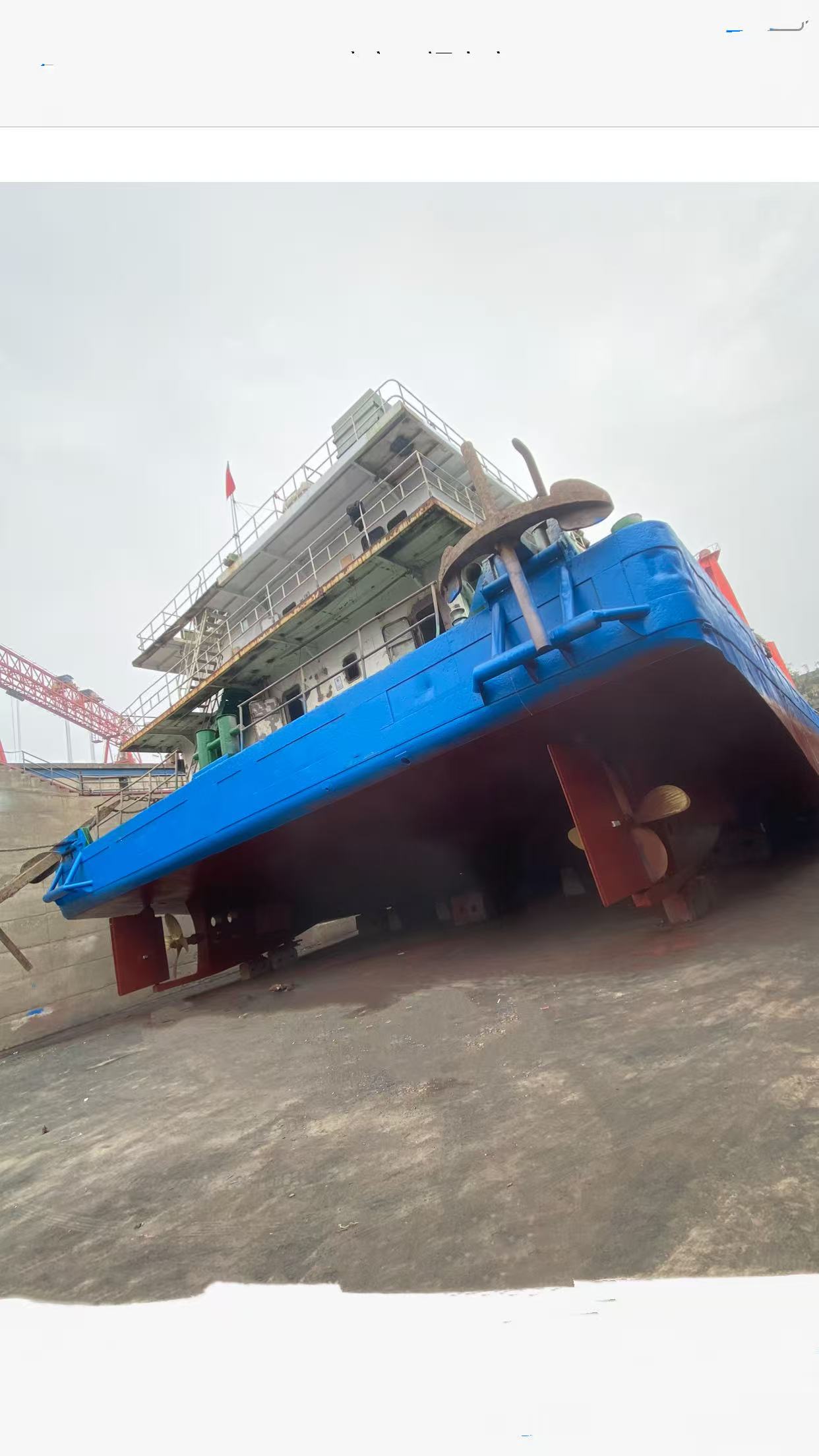 100-tons-self-propeller-crane.jpg